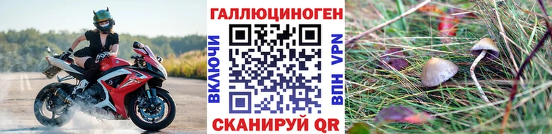 hydra зеркало  Озёрск  Галлюциногенные грибы Psilocybine cubensis 